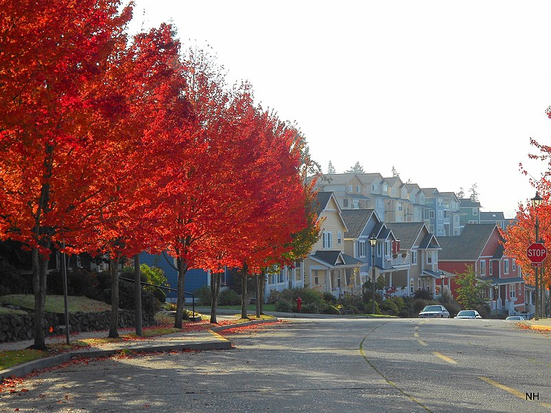 File:Fall colors in Poulsbo - panoramio (1).jpg