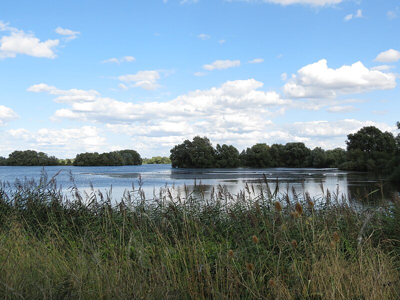 File:Fen drayton 2013-08 (12622454914).jpg