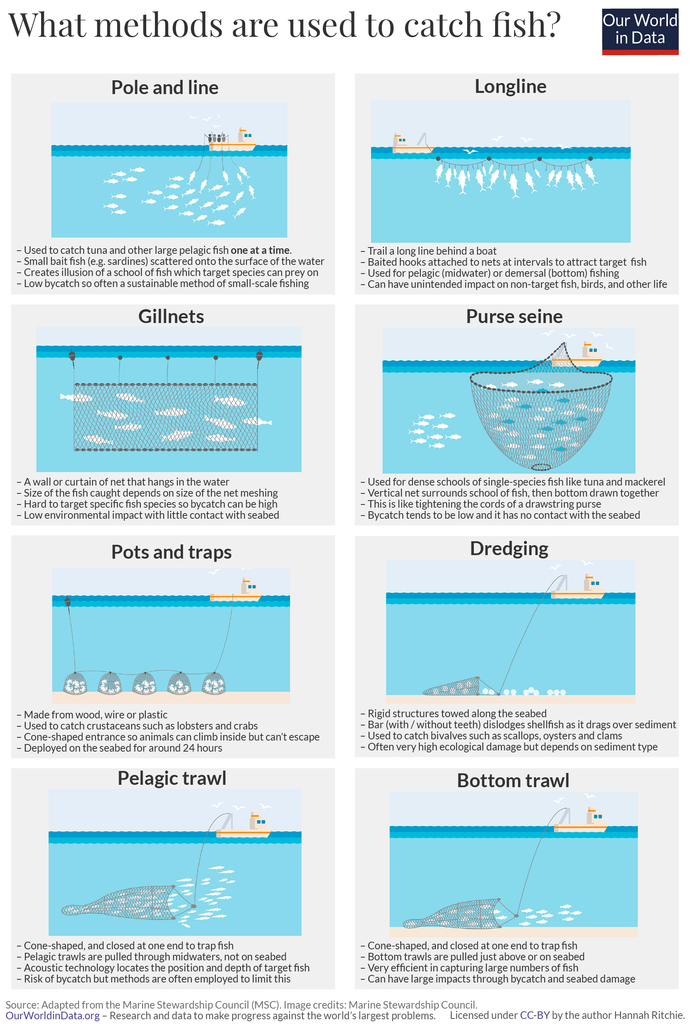 Different fishing techniques and their impacts on the environment