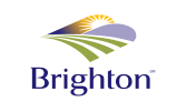 ↑ Brighton