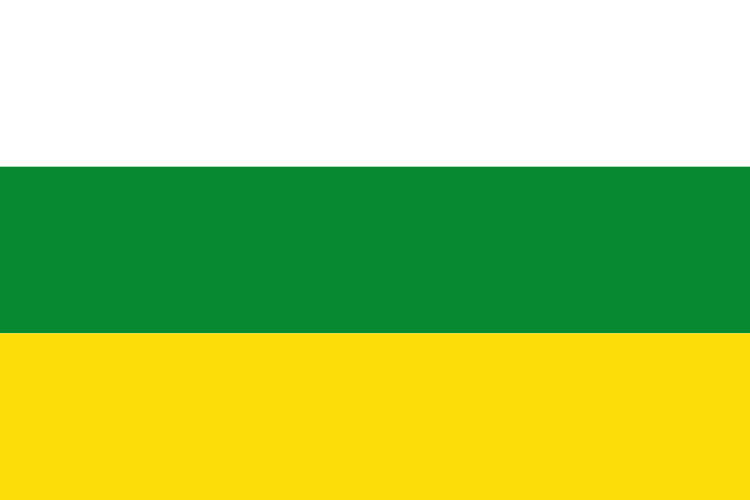 File:Flag of Palmira (Valle del Cauca).svg