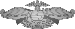 Thumbnail for Fleet Marine Force Ribbon