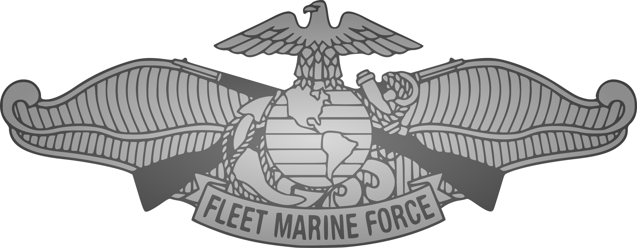 Verified United States Navy FMF Specialist