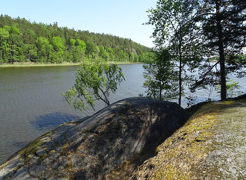 File:Flemingsbergsviken, maj 2018a.jpg