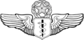 Flugchirurg Badge.png