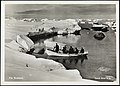 Fra Svalbard - From Svalbard (21978759858).jpg