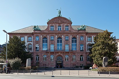 So kommt man zu dem Senckenberg-Museum mit den Öffentlichen - Mehr zum Ort Hier