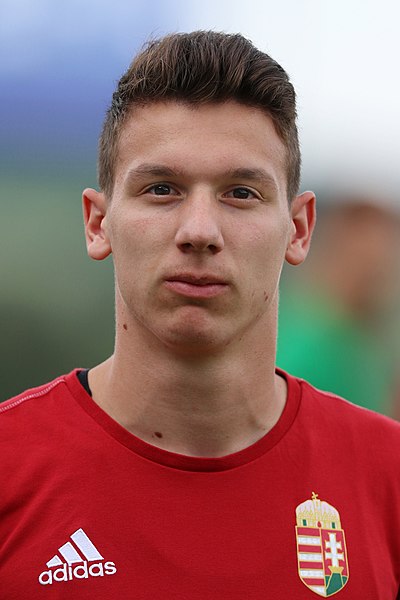 File:Friendly match Austria U-21 vs. Hungary U-21 2017-06-12 (189).jpg