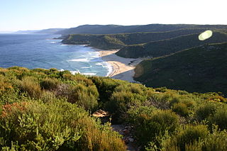 <span class="mw-page-title-main">Garie Beach</span>