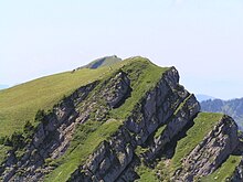 Gelchenwanger Kopf vom Rindalphorngipfel