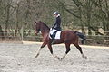 Girl on the horse during dressage competition.JPG
