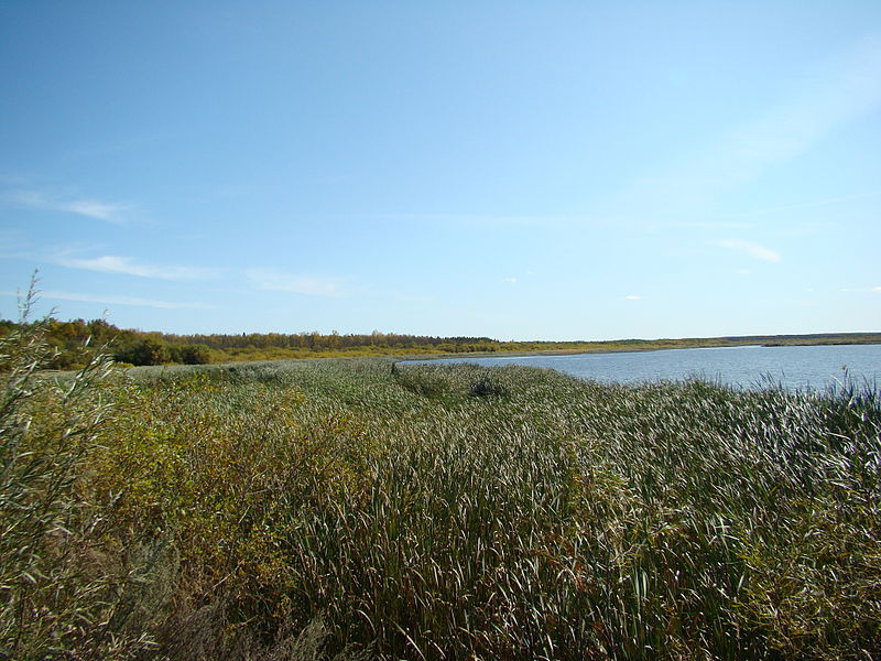 File:Grand Beach and Provincial Park in Lake Winnipeg in Fall 2008 Manitoba Canada (2).JPG