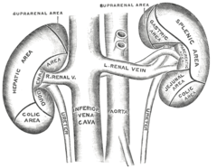 Ilustracja