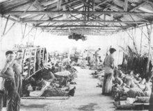 U.S. Marines with malaria in a field hospital on Guadalcanal, October 1942 GuadMarinesMalaria.gif