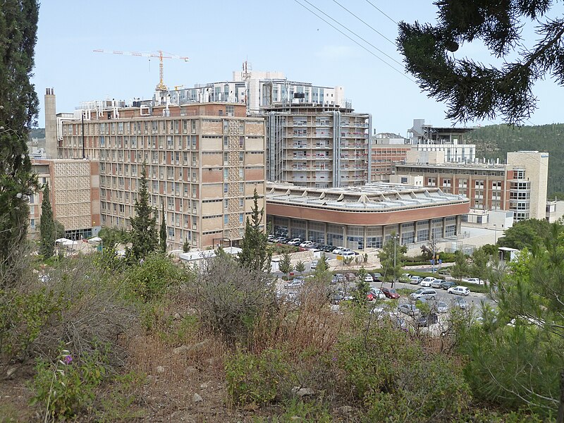 File:Hadassah University Hospital, Ein Karem P1150401.JPG