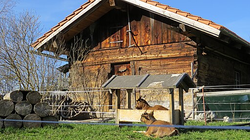 Halblech - Kniebis Nr 7 - Blockhütte nördl