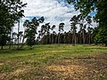 * Nomination Nature reserve Börstig in Hallstadt near Bamberg --Ermell 21:33, 28 May 2016 (UTC) * Promotion Good quality. --Ralf Roletschek 21:37, 28 May 2016 (UTC)