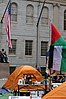 Harvard Free Palestine Camp 46.jpg