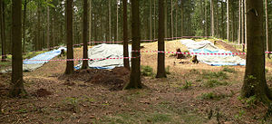 Harzhorn Ausgrabungsbereich 2012 abgedeckt.jpg