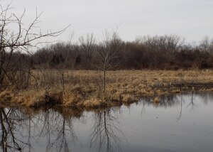 Haskell-Baker Wetlands