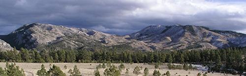 Helena National Forest