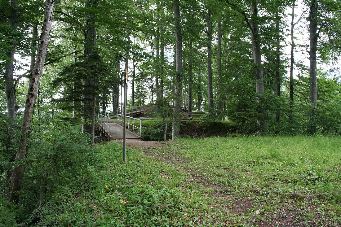 Ruine Hohenlandenberg