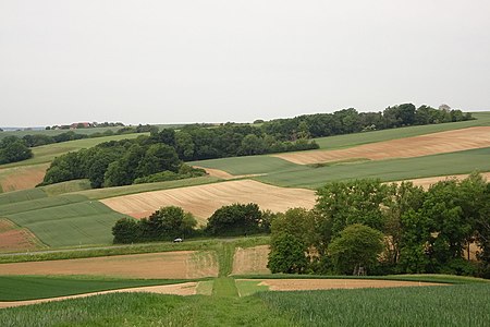 Hohl Griesbusch, Hohl Halde