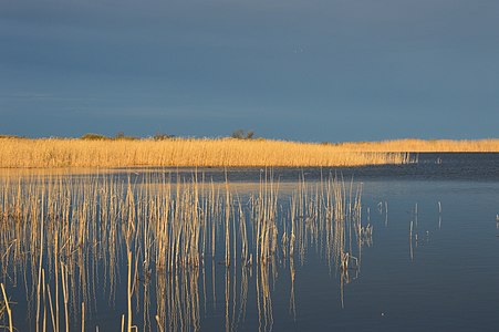 Inahamne Lake, Osmussaar, Estonia