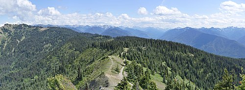 Hurricane Ridge panorama.jpg