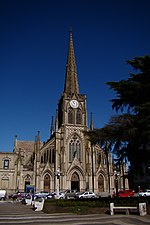 Miniatura para Catedral de Nuestra Señora del Rosario (Azul)