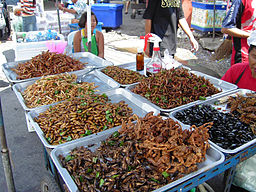 Insect food stall