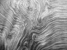 Wood grain pattern of a fork of Fraxinus excelsior (Common ash), as found by stripping off the outer and inner bark layers Interlocking grain at a tree fork.jpg