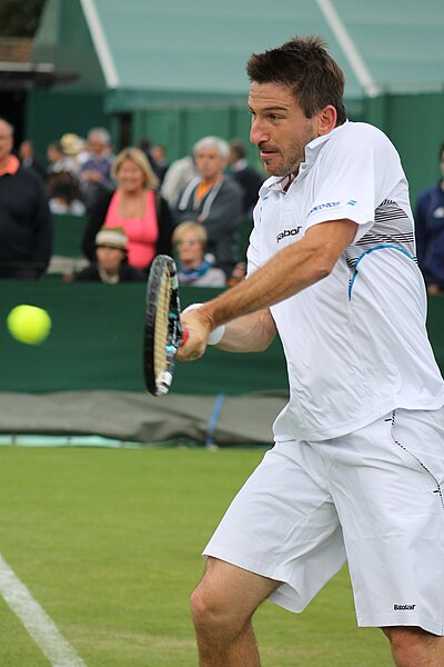 Hájek at the 2013 Wimbledon Championships