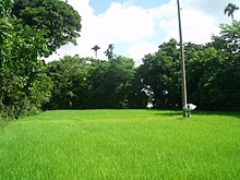 File:Jathagram,_a_village_of_seedlings_3.JPG