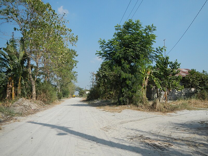 File:Jf9606Senor Tinajero Roads, Bacolor, Pampanga fvf 20.JPG