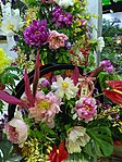 2024年2月台北建国假日花市上的“日本松江大根岛牡丹花展”盆景