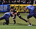 Thumbnail for Joe Wheeler (rugby union)