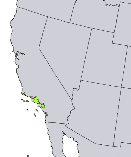 Juglans californica range map.png