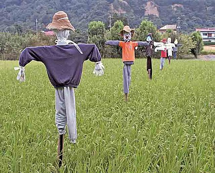 A grouping of Japanese scarecrows.
