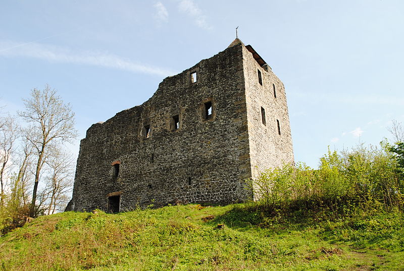 File:Kamenický hrad celkový pohled.JPG