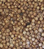 Coriander seeds