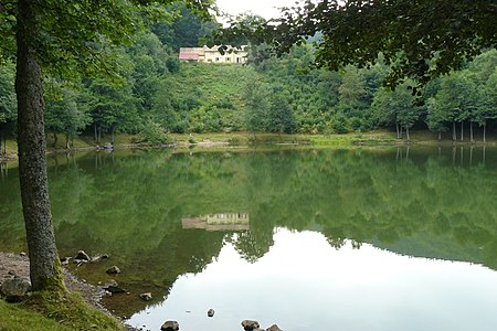 Lachtelweiher