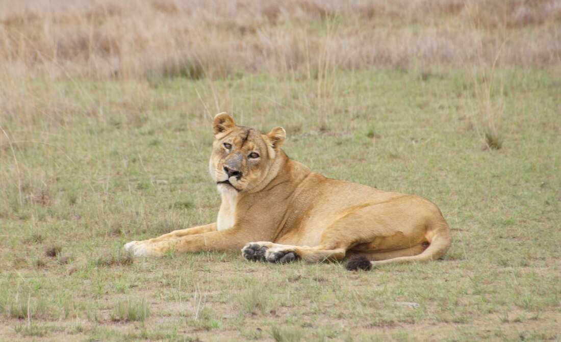 Liuwa Plain National Park