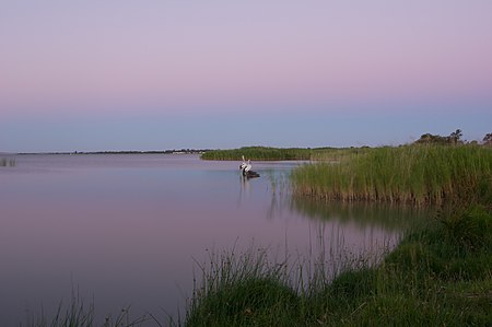 Tập_tin:Lake-Albert-03.jpg