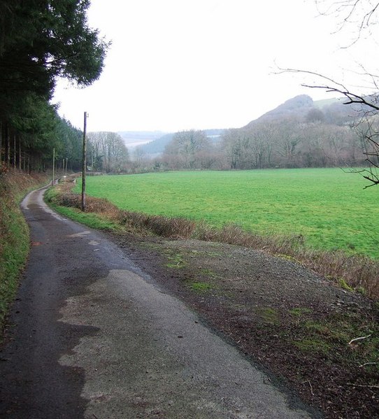 File:Lane in Torridge valley - geograph.org.uk - 655159.jpg