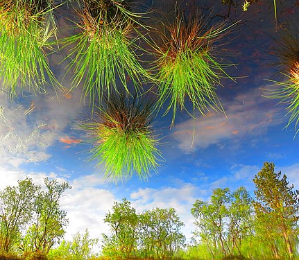 Lapland landscape with green clouds