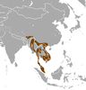 Large-spotted Civet area.png