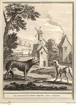 Image illustrative de l’article Le Loup et le Chien maigre