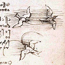 Leonardo da Vinci - Codice volo uccelli 6r.jpg