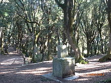 Riproduzione della Lex Luci Spoletina - Bosco sacro